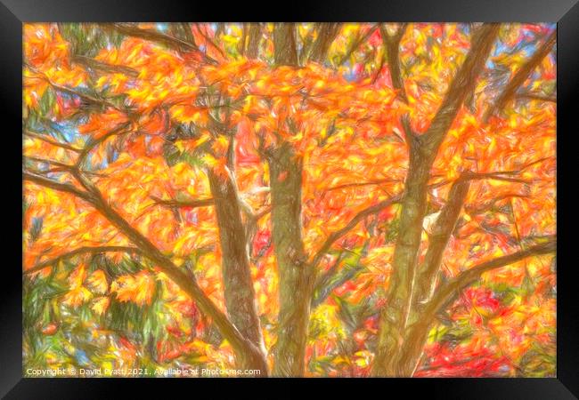 New York Autumnal Art  Framed Print by David Pyatt