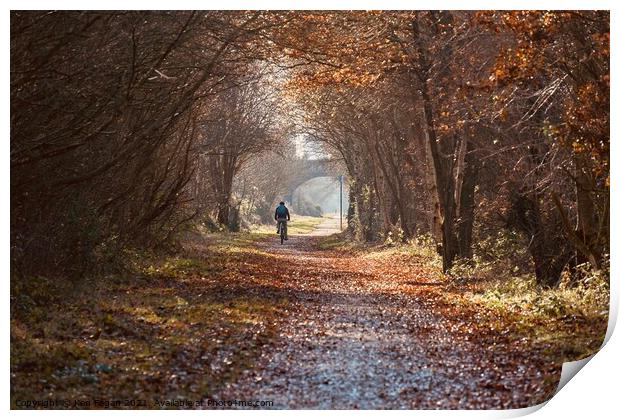 Autumnal morning Walk Print by Ken Fagan