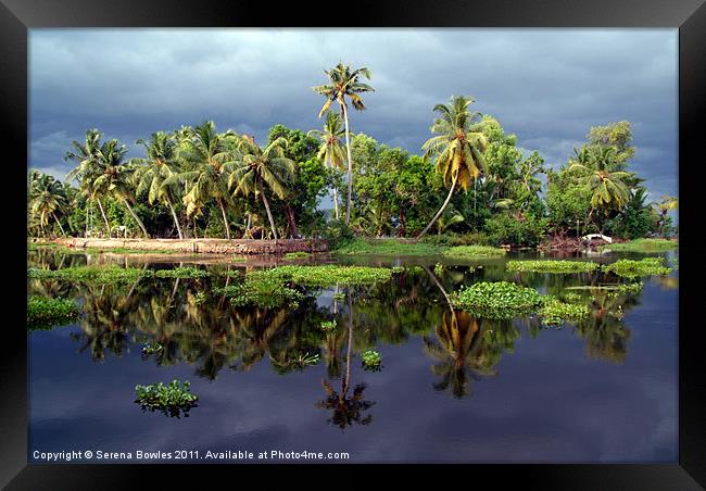 Palm Trees in a Storm Kerala Framed Print by Serena Bowles