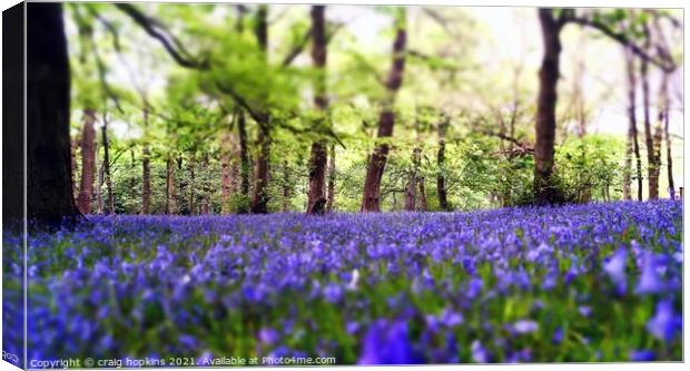 Bluebells in a forest Canvas Print by craig hopkins