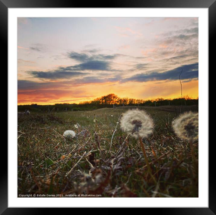 Oxwich sunset Framed Mounted Print by Estelle Davies