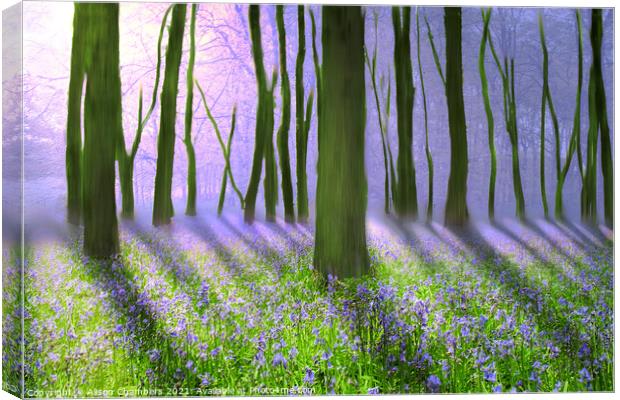 Misty Bluebell Woodland  Canvas Print by Alison Chambers