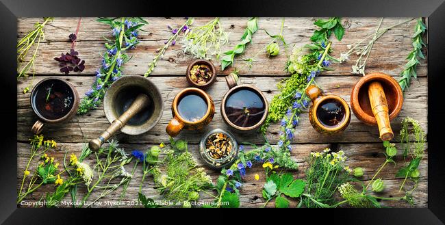 Herbal flower tea and plants Framed Print by Mykola Lunov Mykola