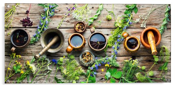 Herbal flower tea and plants Acrylic by Mykola Lunov Mykola