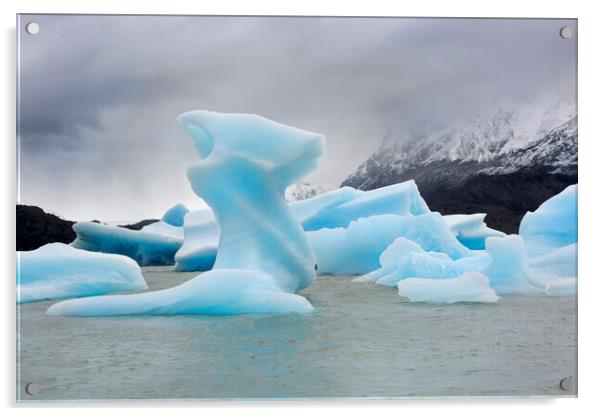 Grey Lake Ice Floes Acrylic by David Hare