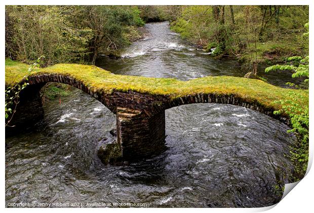 Pont Minllyn a packhorse bridge in Gwynedd Wales Print by Jenny Hibbert
