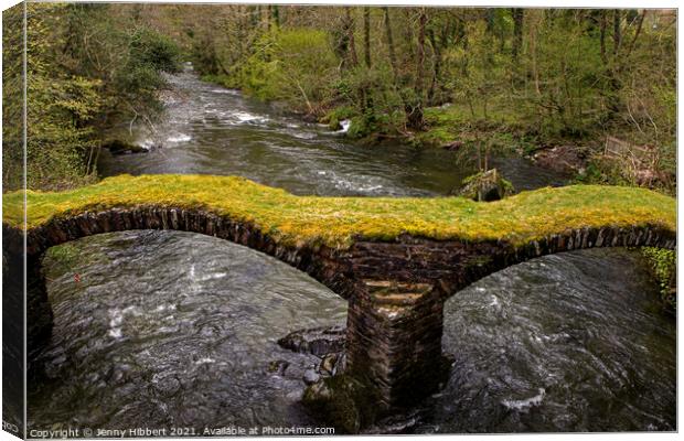 Pont Minllyn packhorse bridge in Mallwyd Gwynedd Canvas Print by Jenny Hibbert