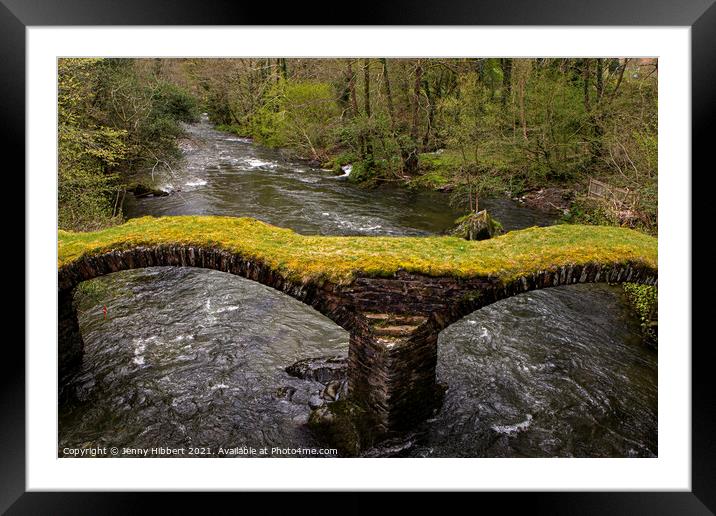 Pont Minllyn packhorse bridge in Mallwyd Gwynedd Framed Mounted Print by Jenny Hibbert