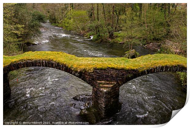 Pont Minllyn packhorse bridge in Mallwyd Gwynedd Print by Jenny Hibbert