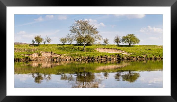 Trees on the banks of the River Ribble Framed Mounted Print by Jason Wells