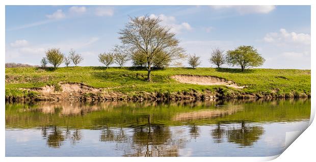Trees on the banks of the River Ribble Print by Jason Wells