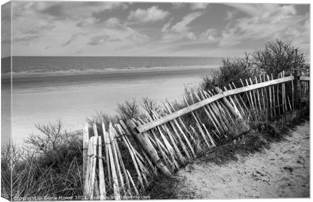 Mablethorpe beach Lincolnshire monochrome Canvas Print by Diana Mower