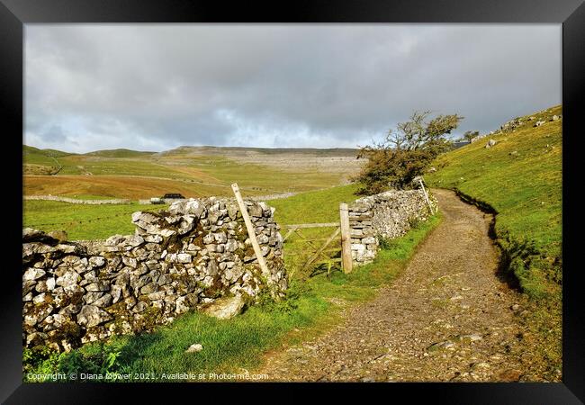 Yorkshire Dales footpath View Framed Print by Diana Mower