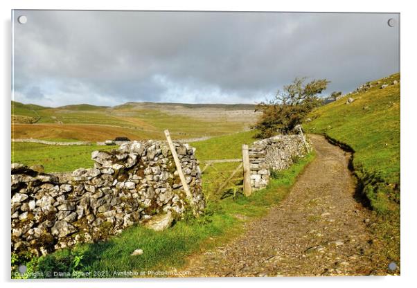 Yorkshire Dales footpath View Acrylic by Diana Mower