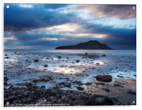Holy Isle at Dawn Arran Acrylic by Mark Sunderland