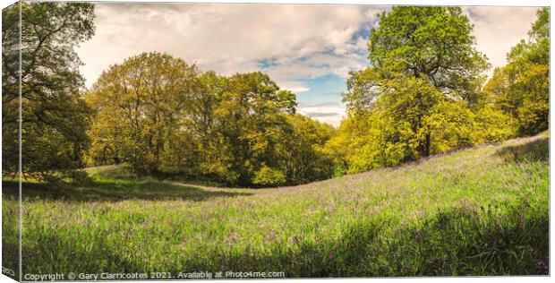 A Bluebell Woodland Pano Canvas Print by Gary Clarricoates