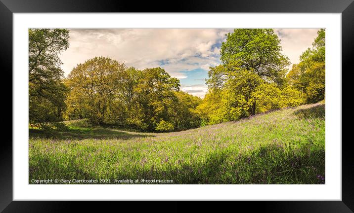 A Bluebell Woodland Pano Framed Mounted Print by Gary Clarricoates