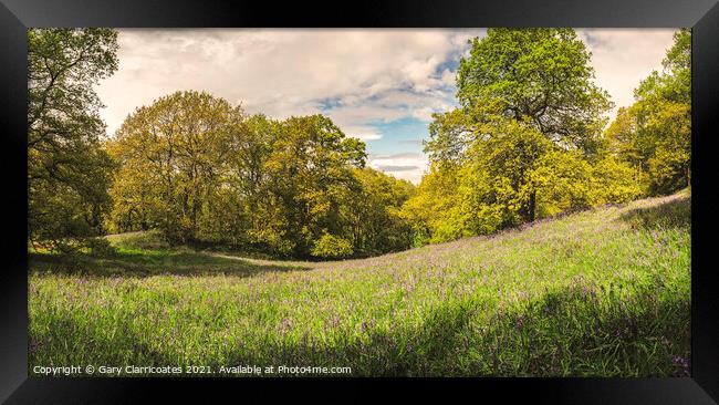 A Bluebell Woodland Pano Framed Print by Gary Clarricoates