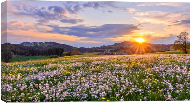 Colourful spring meadow at sunset Canvas Print by Andreas Föll