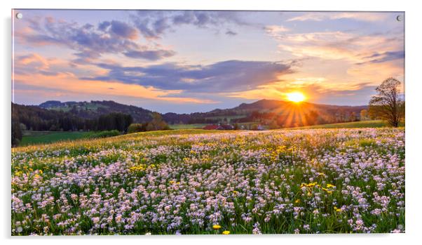 Colourful spring meadow at sunset Acrylic by Andreas Föll