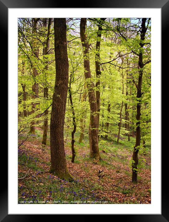 Discovering Skipton Castle Wood Framed Mounted Print by David McCulloch