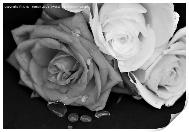 Roses with water droplets in monochrome Print by Jules D Truman