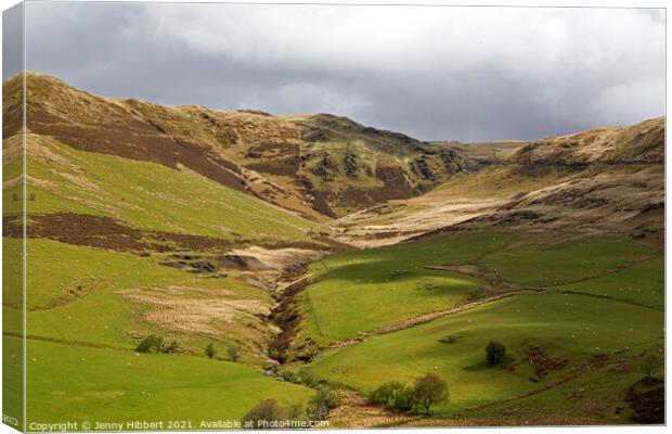 Roadside view to Nant-y-Moch Ceredigion Canvas Print by Jenny Hibbert