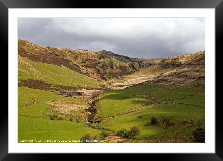 Roadside view to Nant-y-Moch Ceredigion Framed Mounted Print by Jenny Hibbert