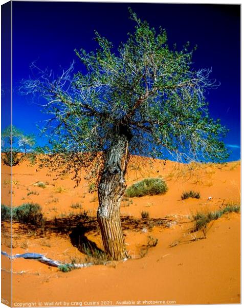 Lone Tree in the Desert Canvas Print by Wall Art by Craig Cusins