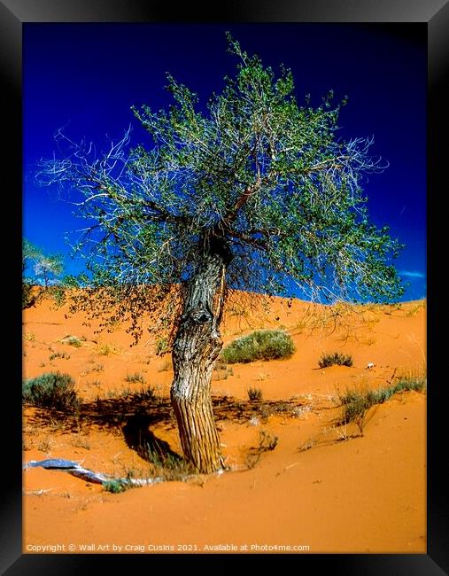 Lone Tree in the Desert Framed Print by Wall Art by Craig Cusins