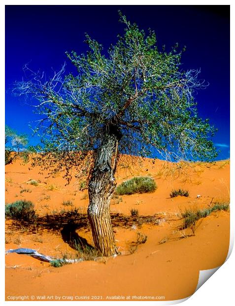Lone Tree in the Desert Print by Wall Art by Craig Cusins