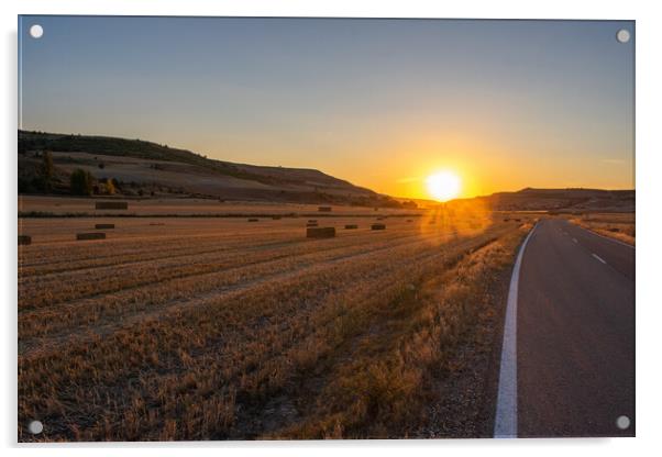 empty road crossing agricultural field at sunset Acrylic by David Galindo