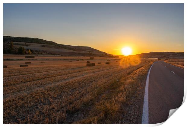 empty road crossing agricultural field at sunset Print by David Galindo