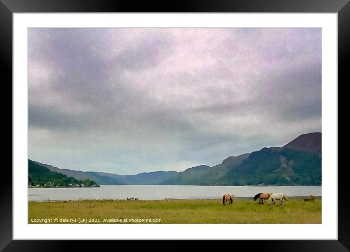 horse's with a view Framed Mounted Print by dale rys (LP)