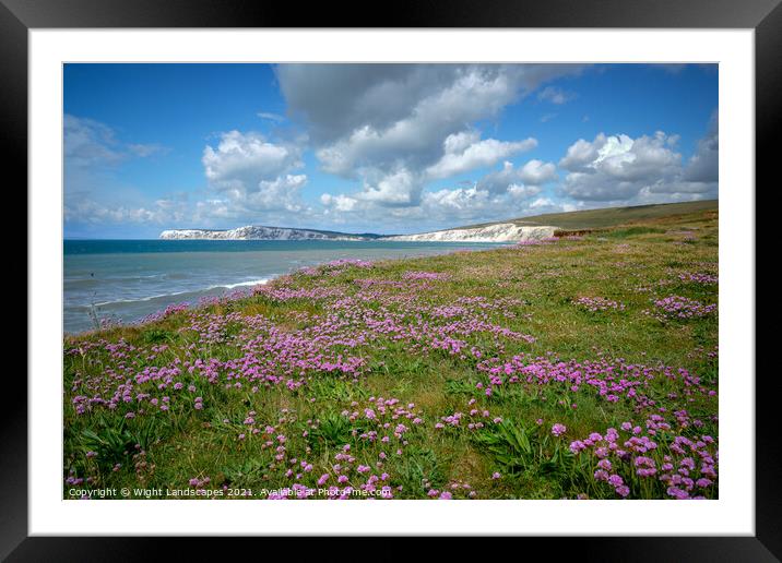 Compton Bay Sea Thrift Framed Mounted Print by Wight Landscapes