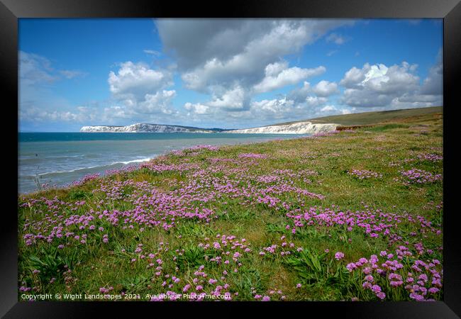 Compton Bay Sea Thrift Framed Print by Wight Landscapes