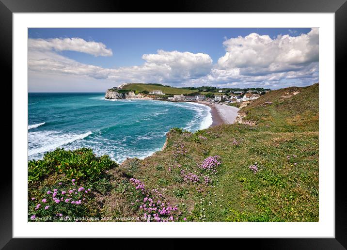 Freshwater Bay Armeria Maritima Framed Mounted Print by Wight Landscapes