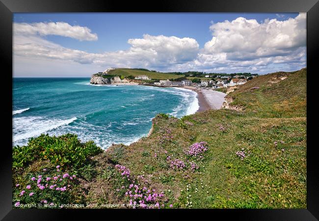 Freshwater Bay Armeria Maritima Framed Print by Wight Landscapes