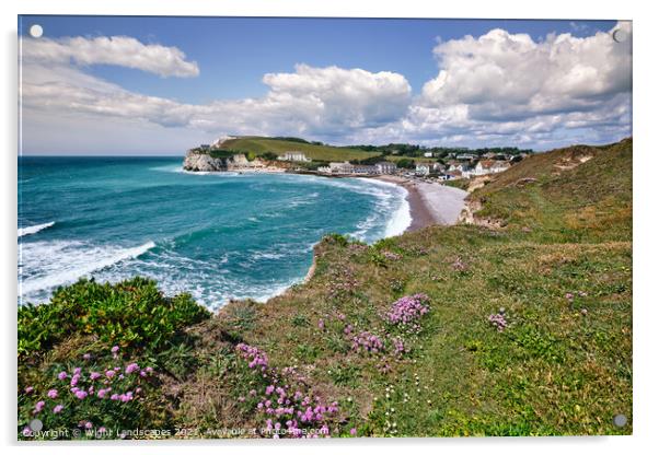 Freshwater Bay Armeria Maritima Acrylic by Wight Landscapes