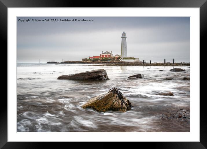 St Mary's Lighthouse Framed Mounted Print by Marcia Reay