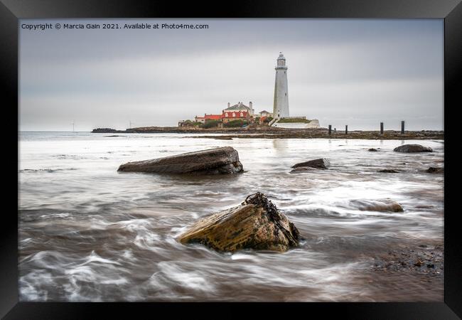 St Mary's Lighthouse Framed Print by Marcia Reay