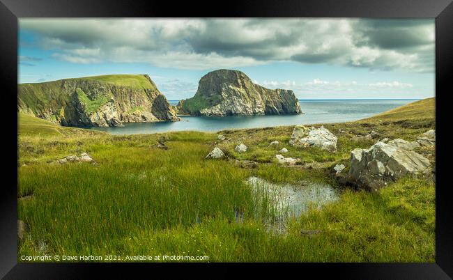 Sheep Rock Framed Print by Dave Harbon