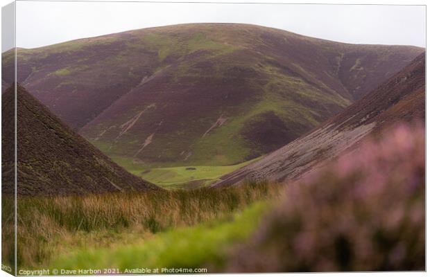 The Lowther Hills Canvas Print by Dave Harbon