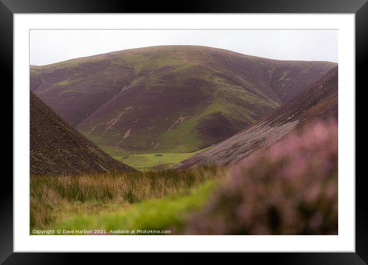 The Lowther Hills Framed Mounted Print by Dave Harbon