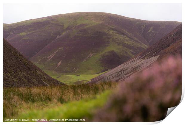 The Lowther Hills Print by Dave Harbon