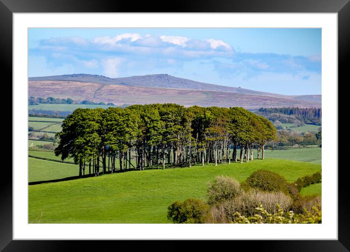 Nearly Home Trees Framed Mounted Print by Oxon Images