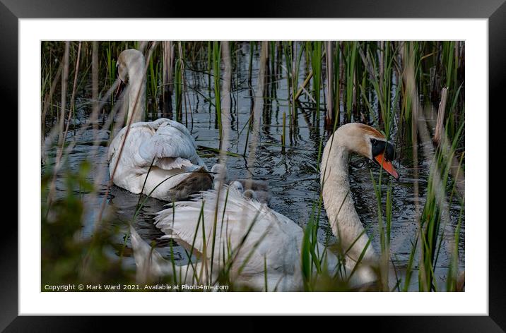 Good Parents. Framed Mounted Print by Mark Ward