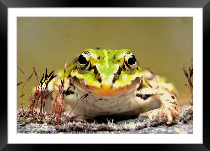 The frog prince Framed Mounted Print by Paulina Sator