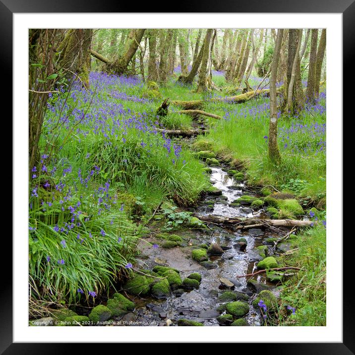 Bluebells Framed Mounted Print by John Rae