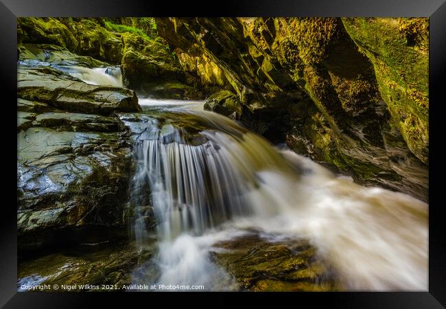 Aira Beck Framed Print by Nigel Wilkins